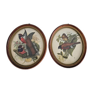 VTG Hope Novelty Co Detroit Oval Bird Prints Wood Frames Set of 2 6.5" x 7.5"